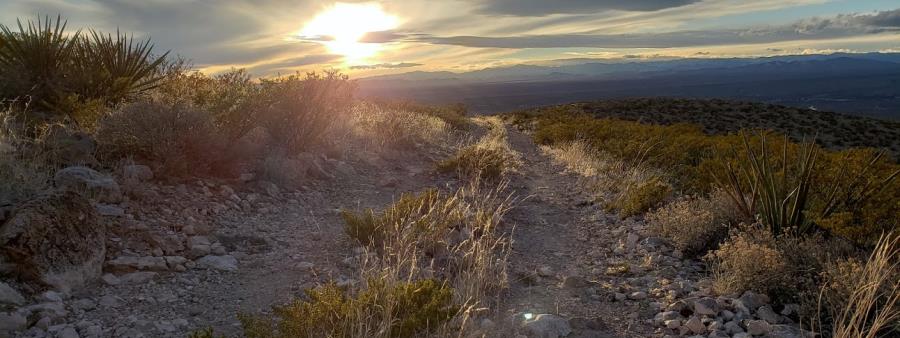Truth or Consequences Desert Ultra