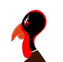 Turkey Burner Logo