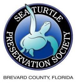 Turtle Krawl 5K Logo