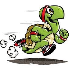 Turtle Lake Turtle Trot Logo