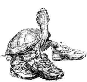 Turtle Trot 5K, 10K, Fun Run and Brunch! Logo