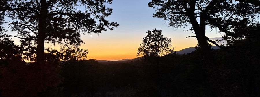 Twilight 10 Trail Run