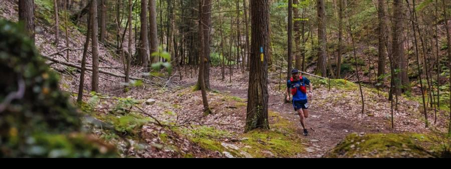 Twisted Branch Trail Run Logo