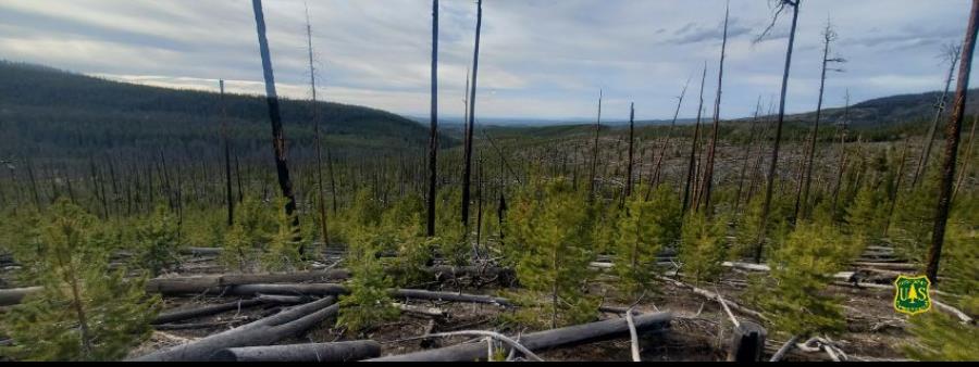 Uinta Wilderness Ultra