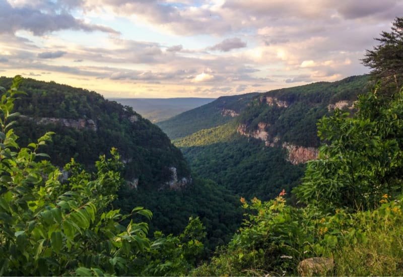 Ultra Trail Chattanooga by UTMB - 100K