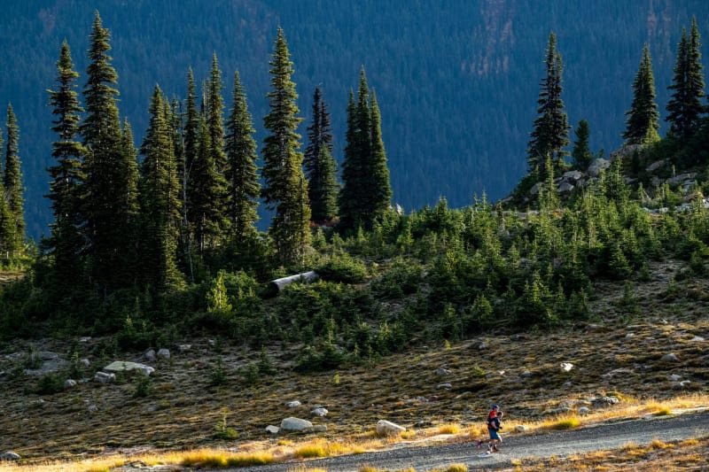 Ultra Trail Whistler by UTMB - 50K Logo