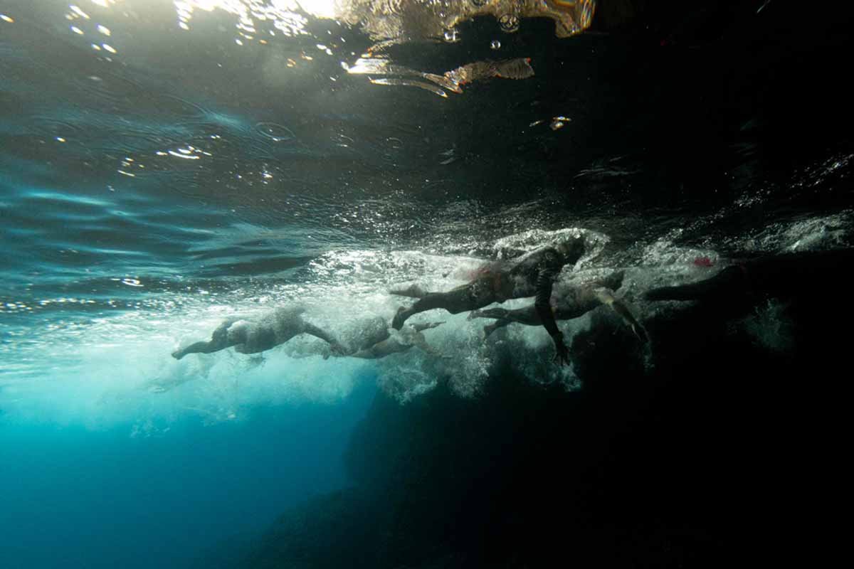 UltraSwim 33.3 Montenegro Logo