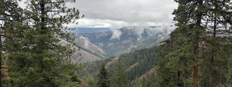 Umatilla Rim Ripper
