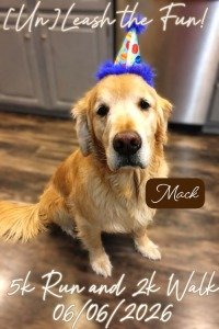 Second Annual [Un]leash the Fun 5k Run and 2k Walk