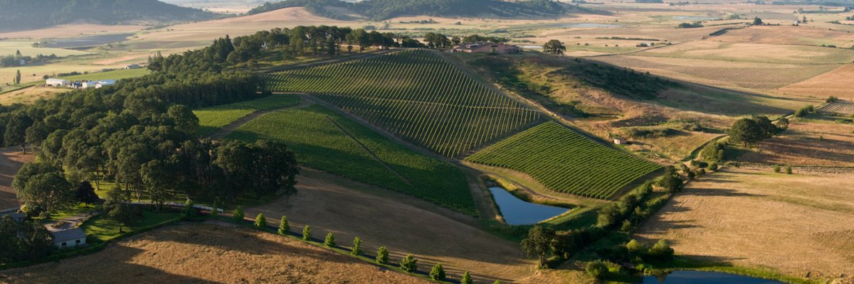 Van Duzer Wine Run 5k