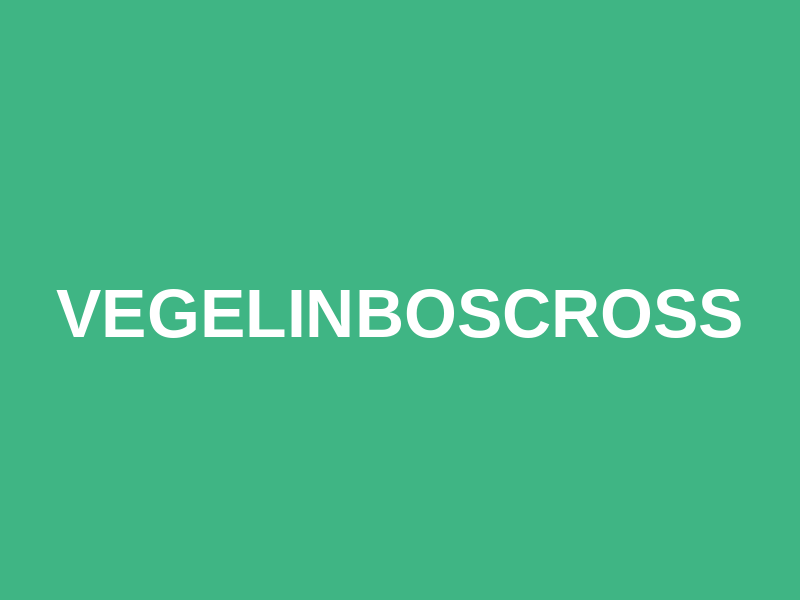 Vegelinboscross Logo