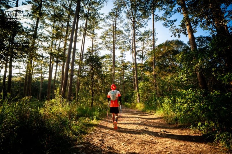 Vietnam Highlands Trail by UTMB - 10K TUYENLAM Logo