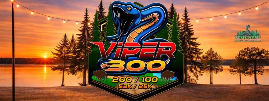 Viper 300 Logo