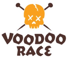 Voodoo 27 Logo