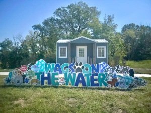 Wags on the Water