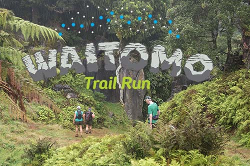 Waitomo Trail Run Logo