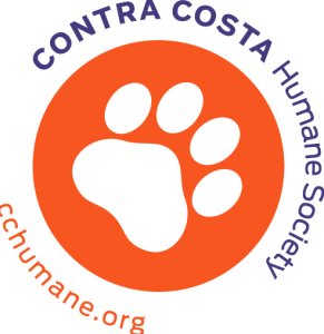 Walk for Paws