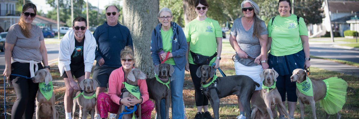 Walk for Weims 2027