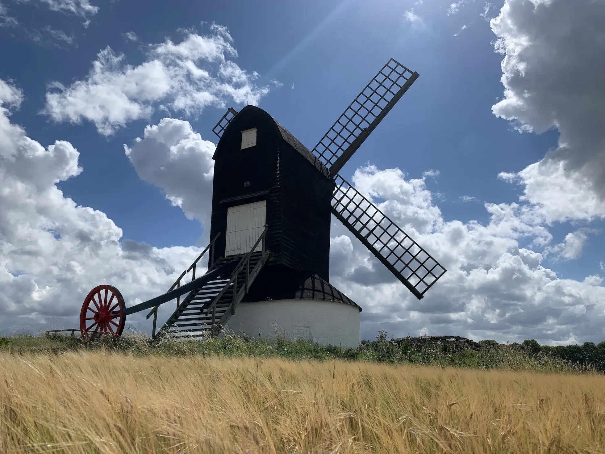 Water & Windmill 10 Miler Logo
