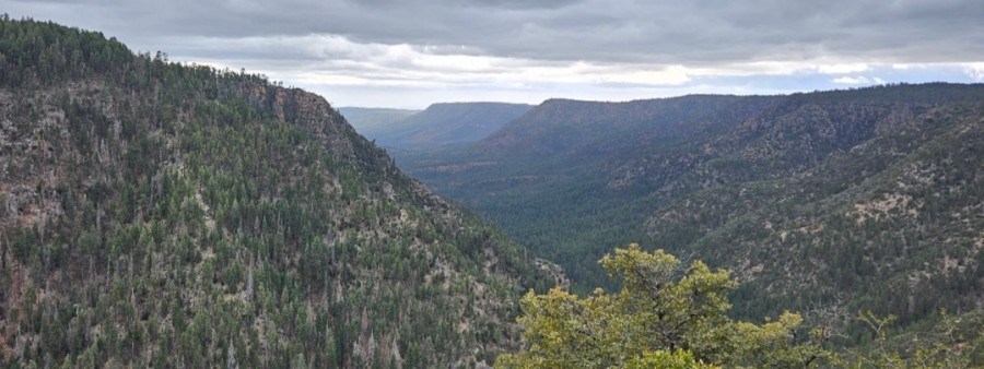 Way Too Haught 105k – Highline Trail Endurance Run