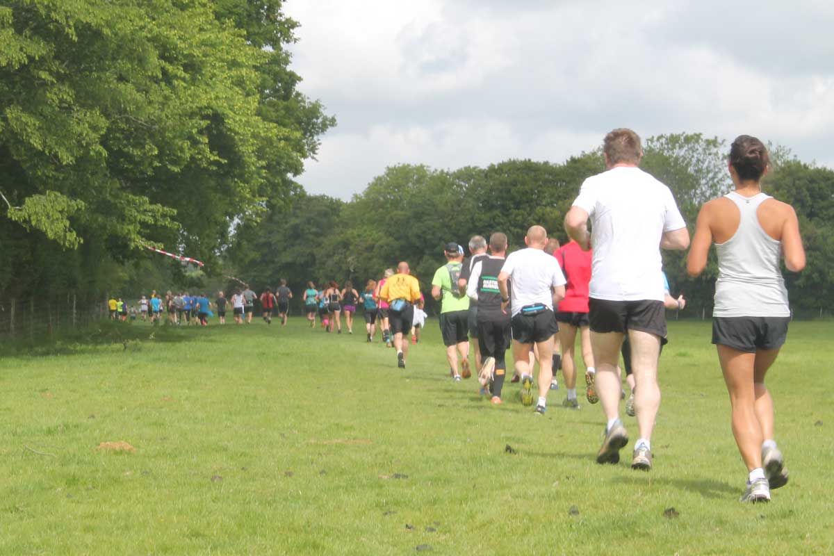 Weald Challenge Logo