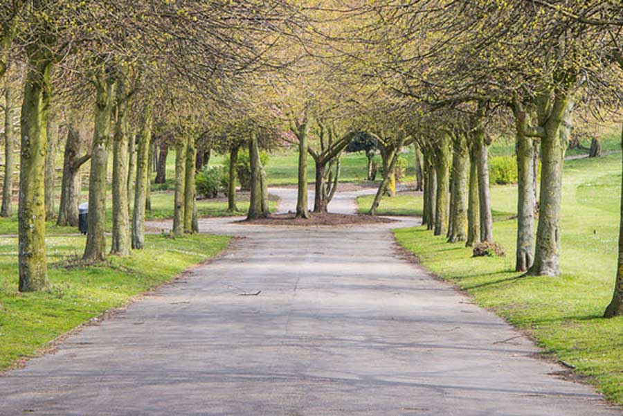 Weald Country Park (Essex) 10K Logo