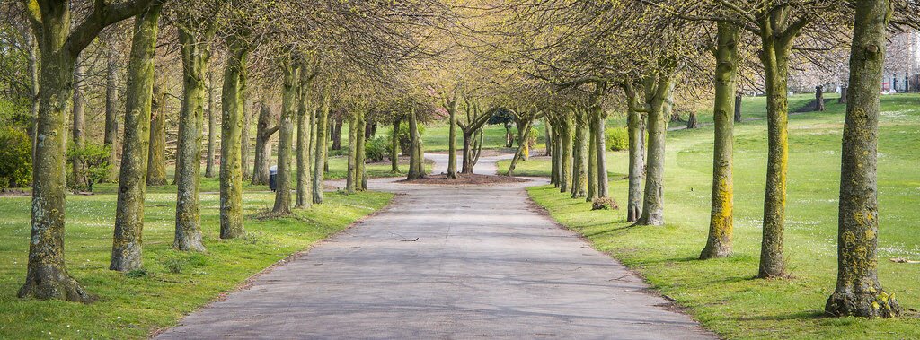 Weald Country Park (Essex) 10K