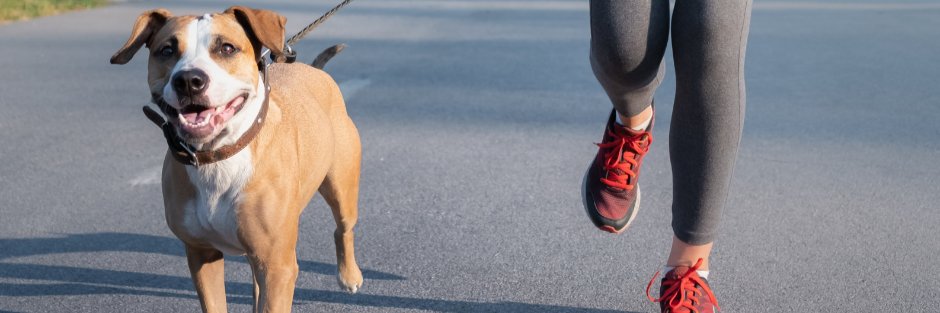 Wellness Warrior Run