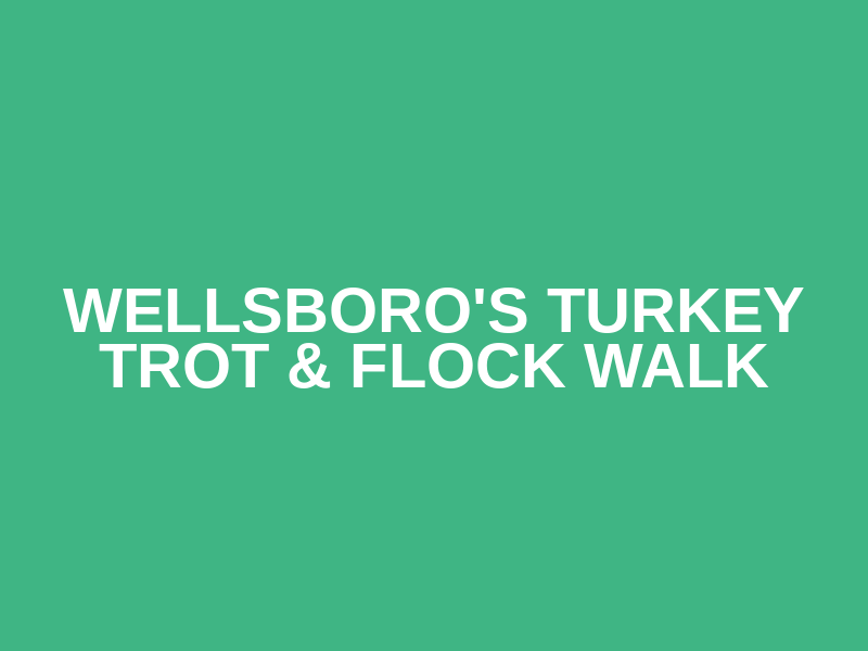 Wellsboro's Turkey Trot & Flock Walk
