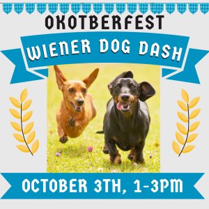Wiener Dog Dash