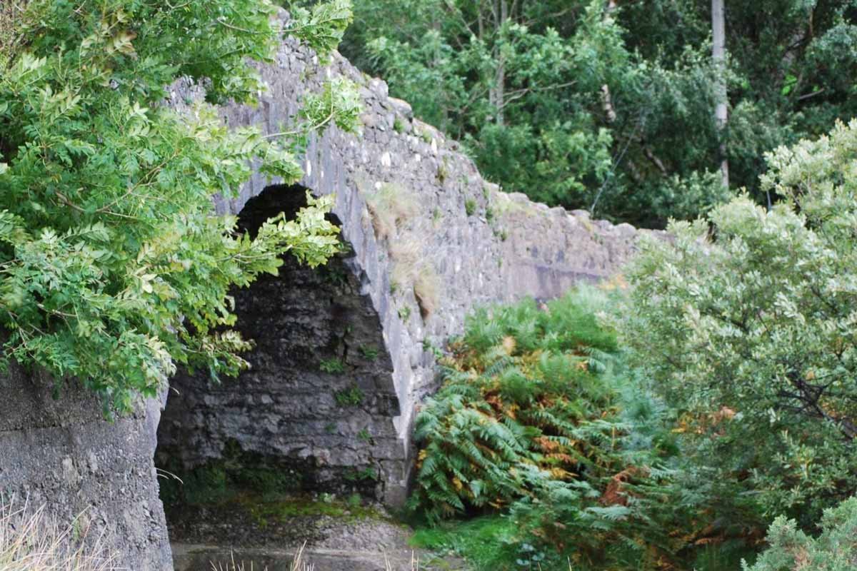 Wild Atlantic Ultra Logo