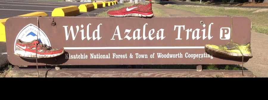 Wild Azalea Trail Challenge