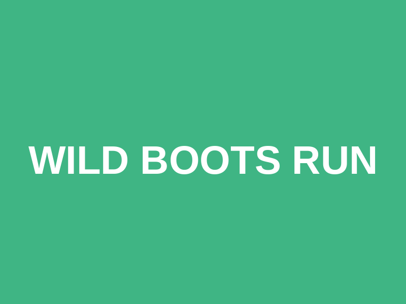 Wild Boots Run Logo