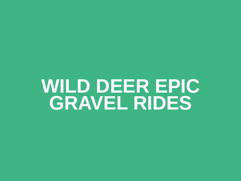 WILD DEER EPIC GRAVEL RIDES Logo