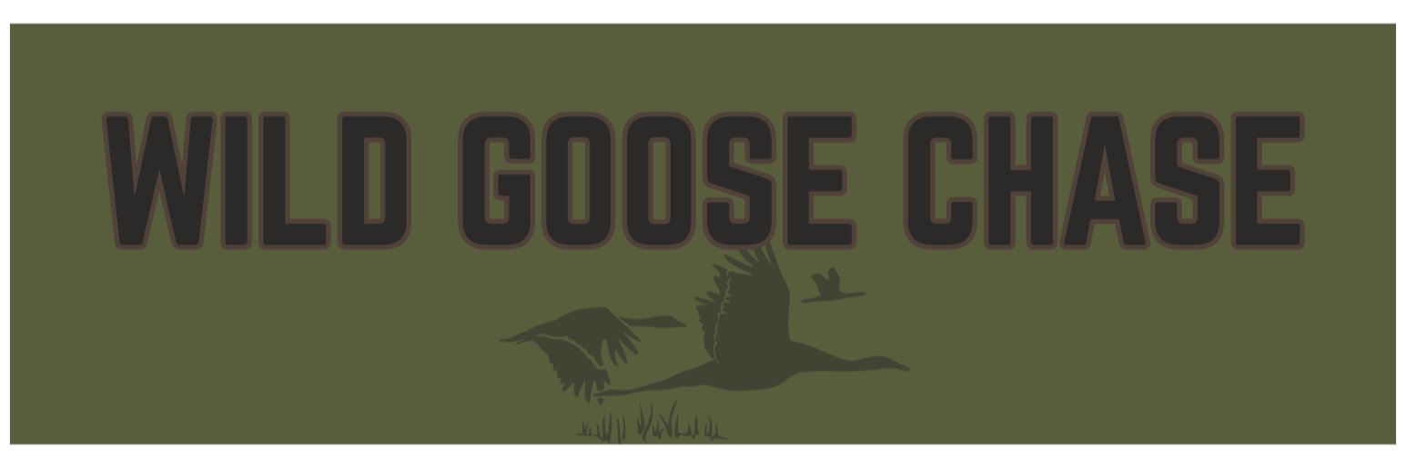Wild Goose Chase 5K