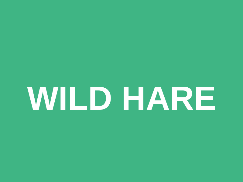 WIld Hare Logo