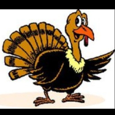 Wild Turkey 5 Mile Logo