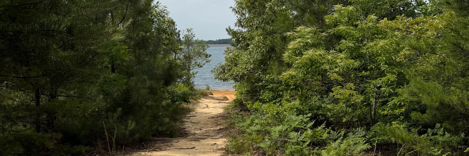 Wildstride Race Series 10k Run/Hike