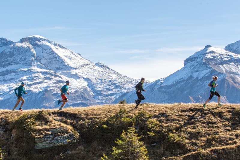 Wildstrubel by UTMB - Wild Glacier Marathon Lenk Logo