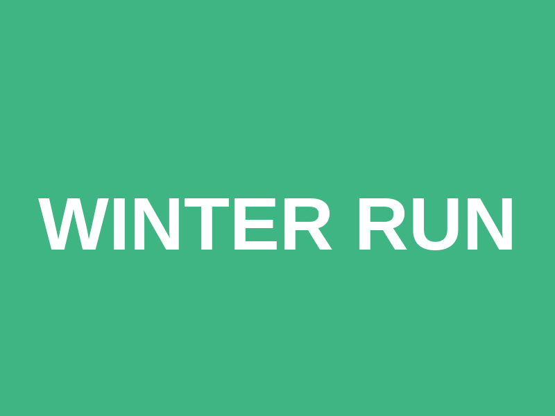 Winter Run