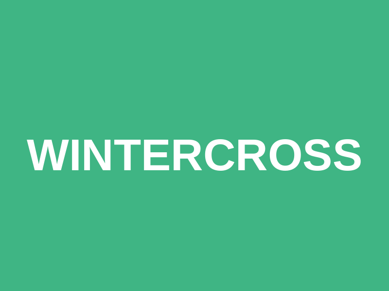 Wintercross Logo