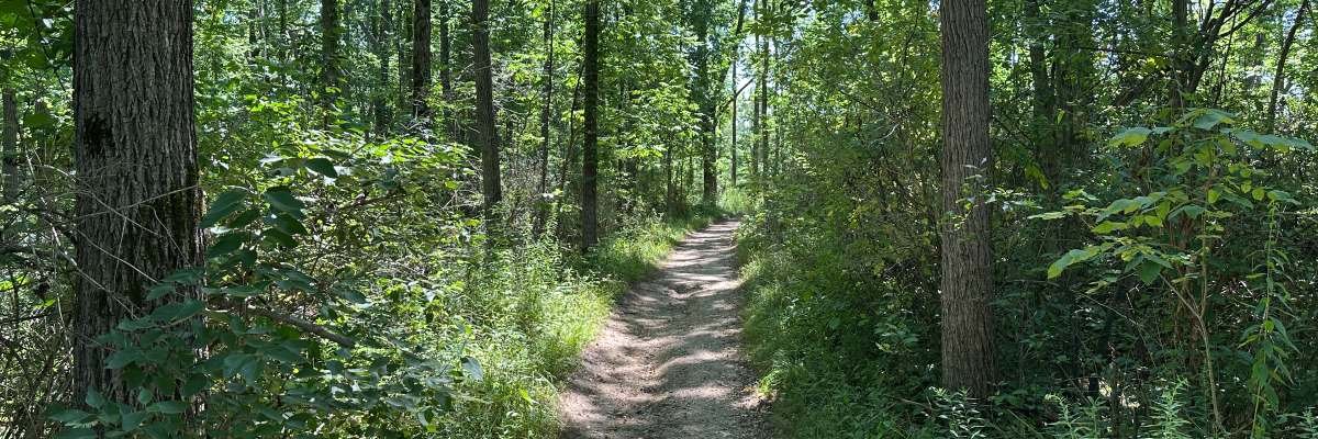 Woldumar Trail Run