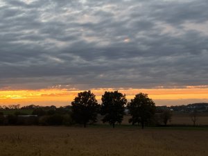 Womelsdorf Mennonite youth 5k fundraiser Logo