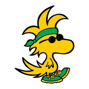 Publix Woodstock 5K Logo