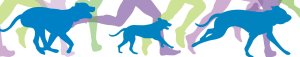 Woof-A-Palooza Logo