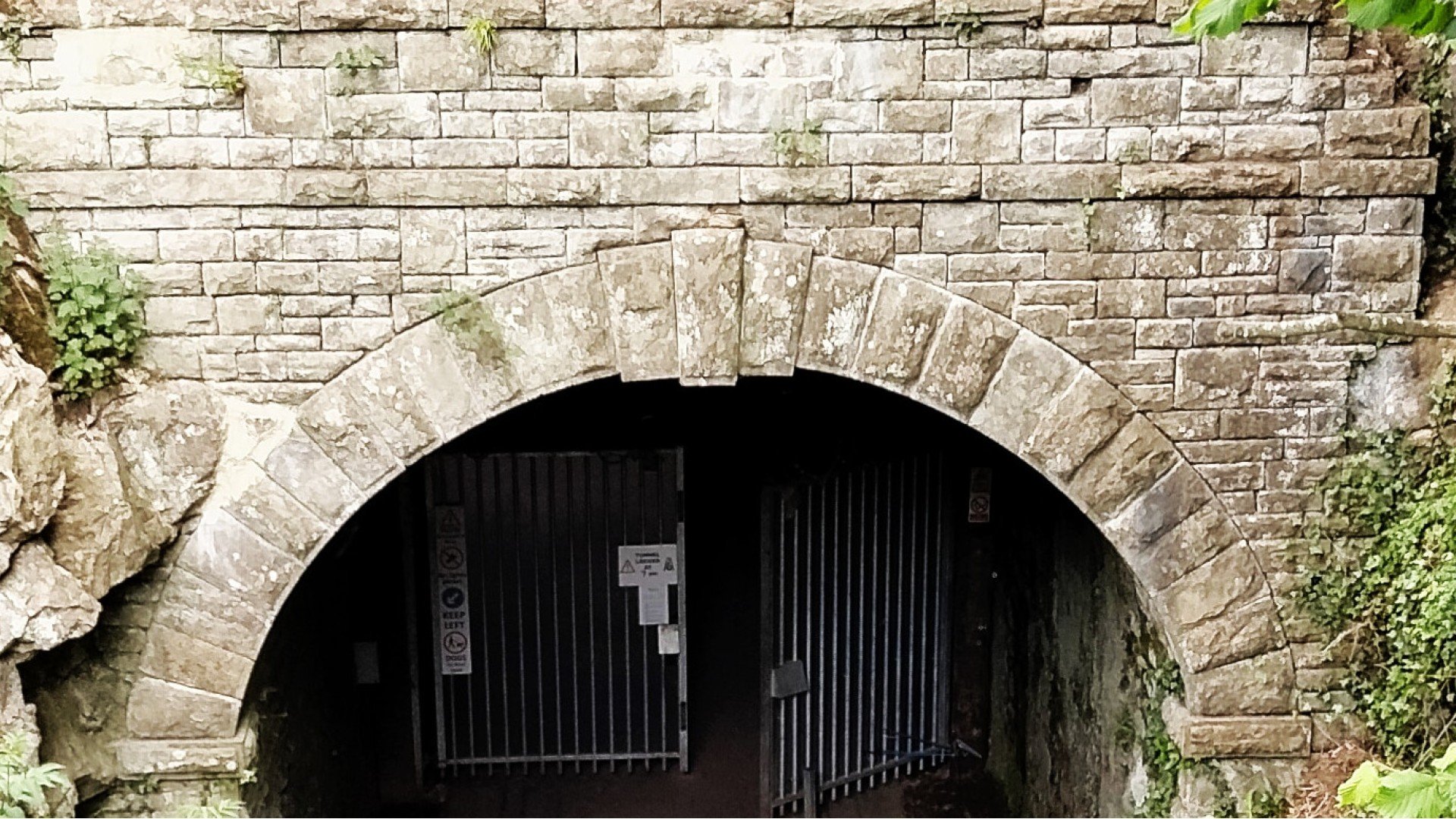 Wye Valley Tunnel Run 2027 Logo