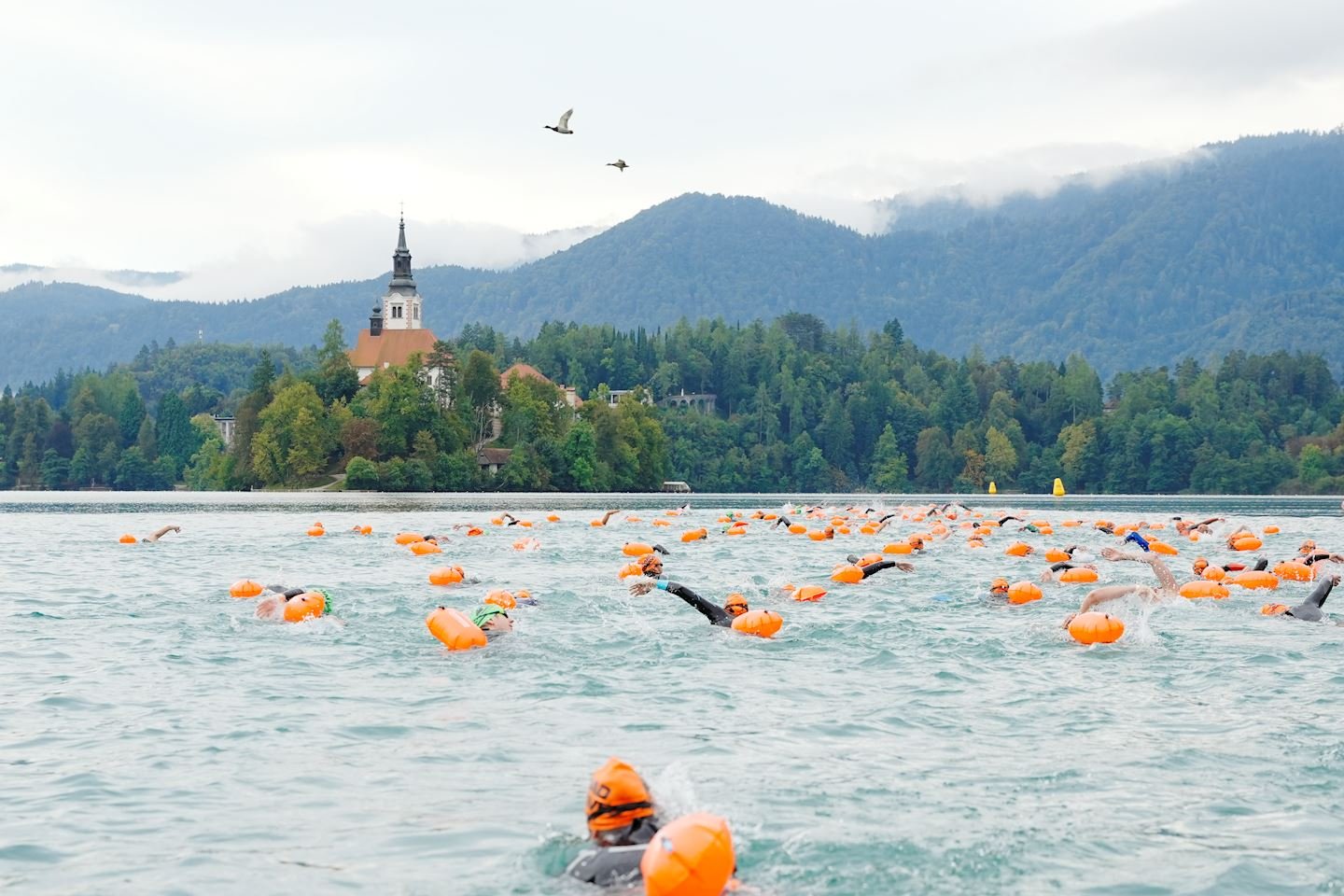 X-WATERS Slovenia Logo