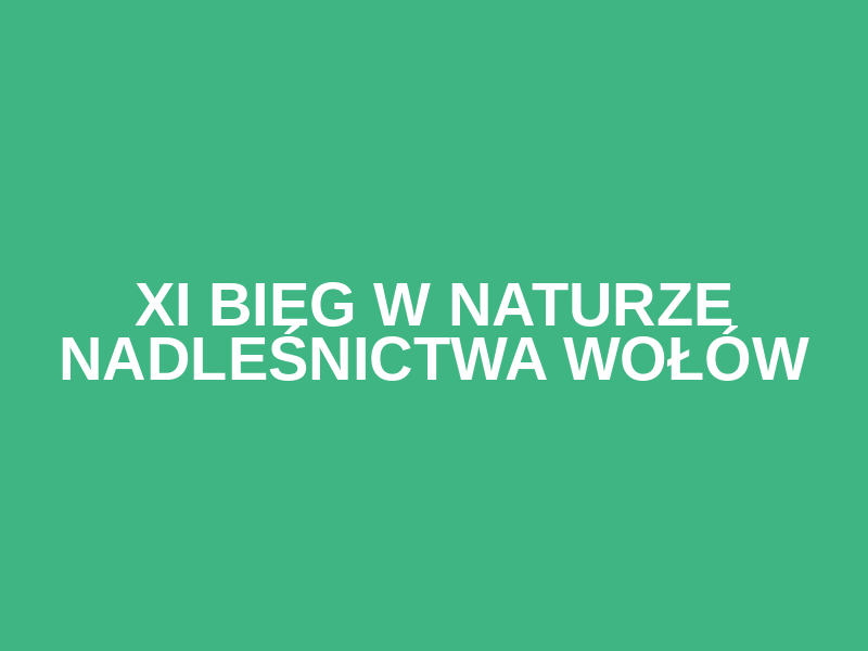XI Bieg w Naturze Nadleśnictwa Wołów