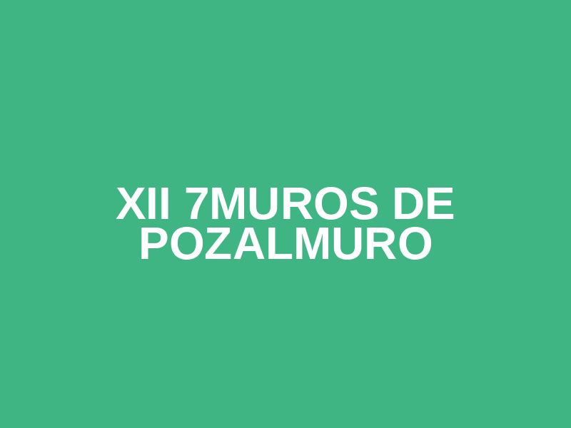 XII 7Muros de Pozalmuro