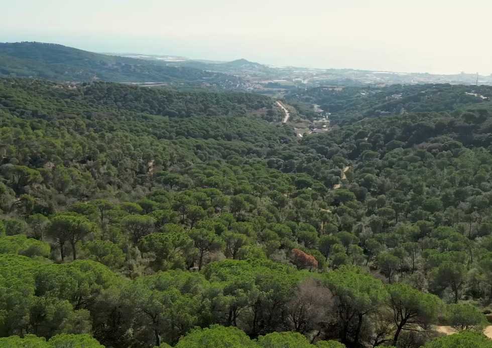 Xtrail Series Run - Mataró